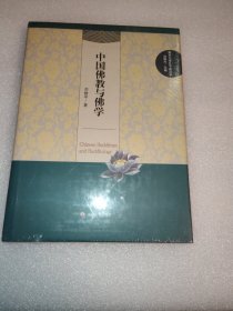 南京大学孔子新汉学//中国佛教与佛学