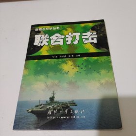 联合打击——新概念战争丛书