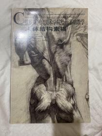 俄罗斯列宾美院绘画基础教学系列：人体结构素描