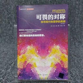 可畏的对称：探寻现代物理学的美丽