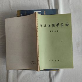 汉语音韵学导论
