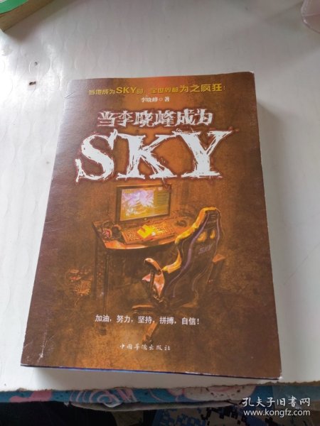 当李晓峰成为SKY