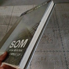 SOM首席设计师艾德里安·史密斯作品集
