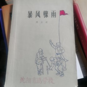 暴风骤雨