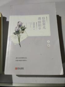 恰似寒光遇骄阳:1(上下)、2(上下)、3(上下)    共6册合售