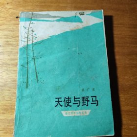 天使与野马