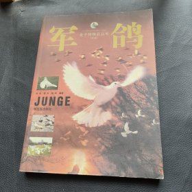 军鸽
