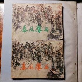 暴风骤雨（上下两册全，1981年11月一版一印，上美64开平装，品相见图片）