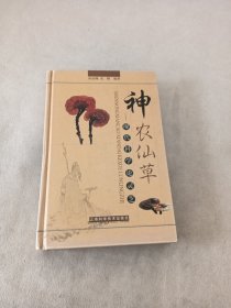 神农仙草:现代科学论灵芝 (精装)