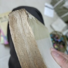精神分析引论