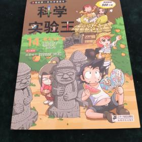 我的第一本科学漫画书·科学实验王14：岩石与矿物