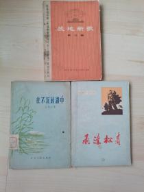 战地新歌（第三集），雨涤松青，在不沉的湖中