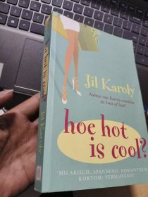 Hoe hot is cool 荷兰语原版 24开 近新