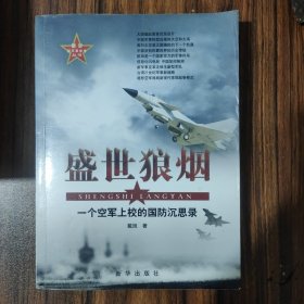 盛世狼烟：一个空军上校的国防沉思录