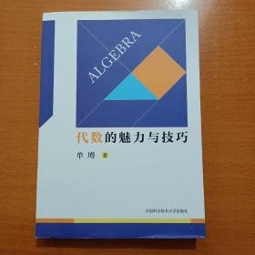 代数的魅力与技巧