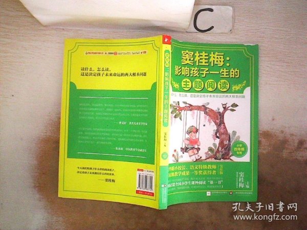 窦桂梅：影响孩子一生的主题阅读.小学四年级专用