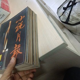 【期刊杂志】小说月报1995年第1-12期合售 16开 包快递费