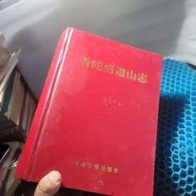 普陀洛迦山志 带地图和大量图片红精装