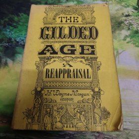 THE GILDED AGE 镀金时代 A Reappraisal