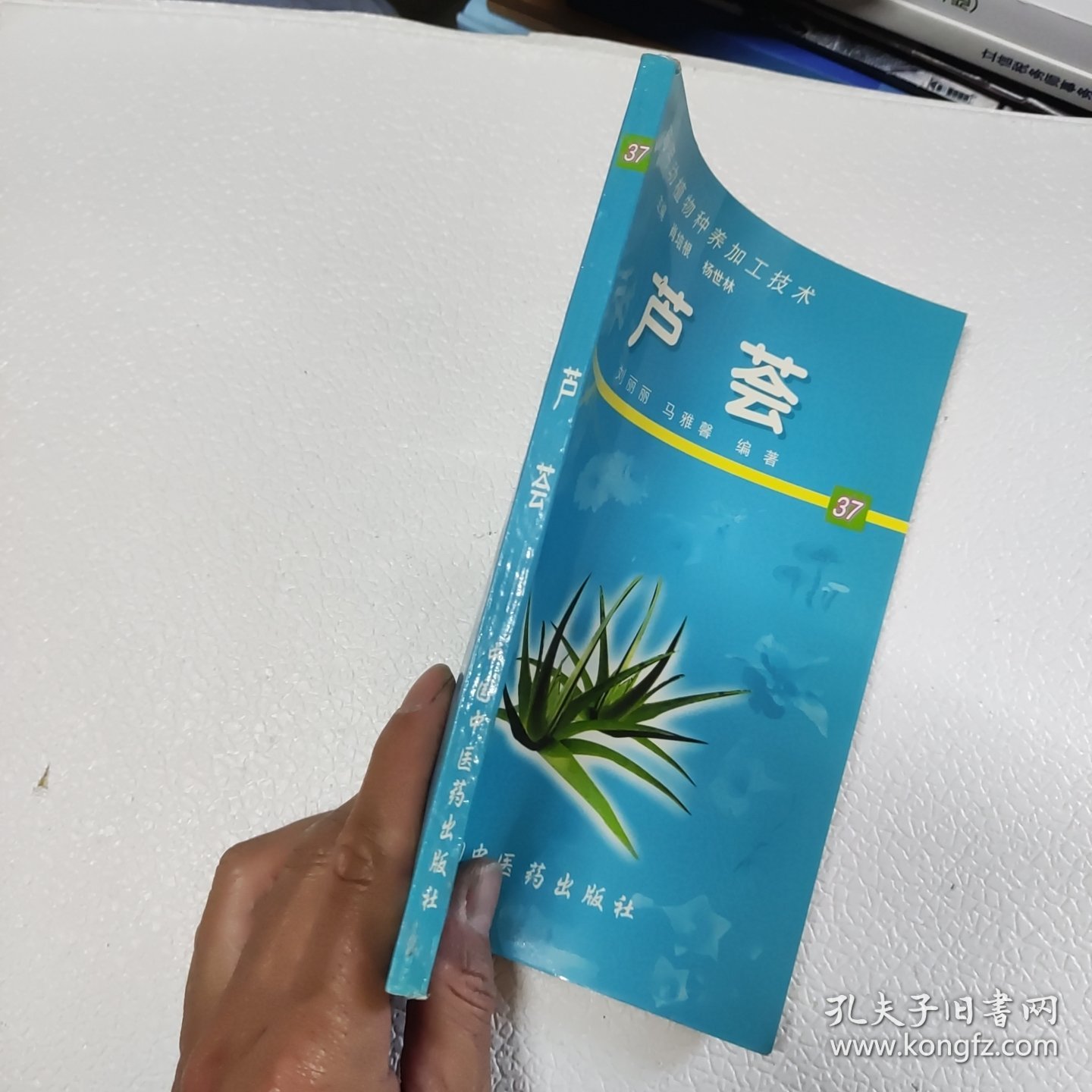 芦荟 药用动植物种养加工技术