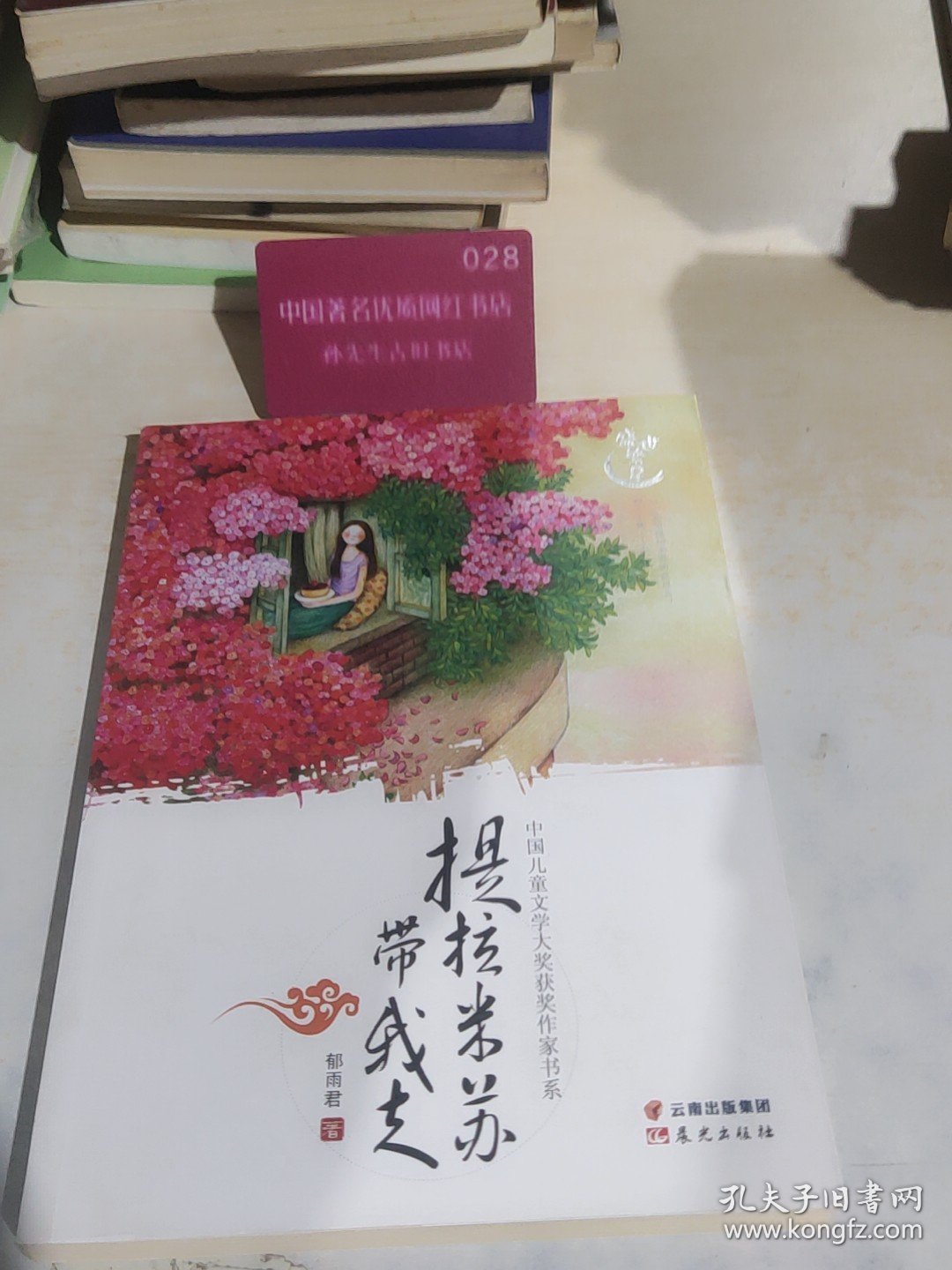 盛世繁星 中国儿童文学大奖获奖作家书系提拉米苏带我走