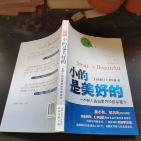 小的是美好的：一本把人当回事的经济学著作