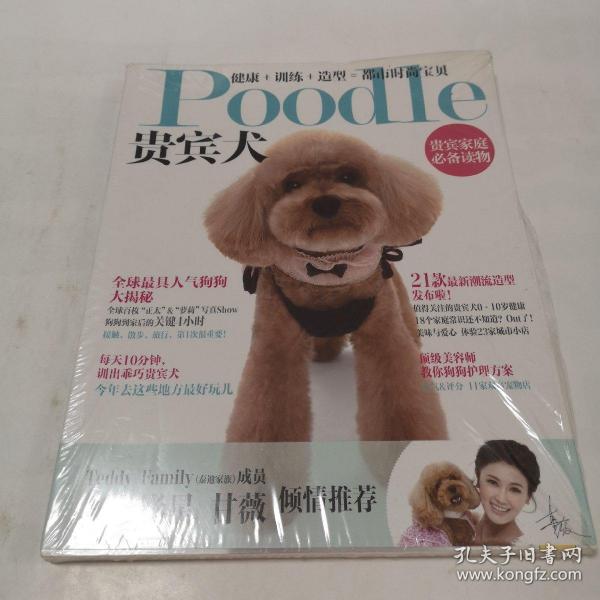 Poodle 贵宾犬