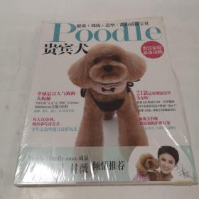 Poodle 贵宾犬