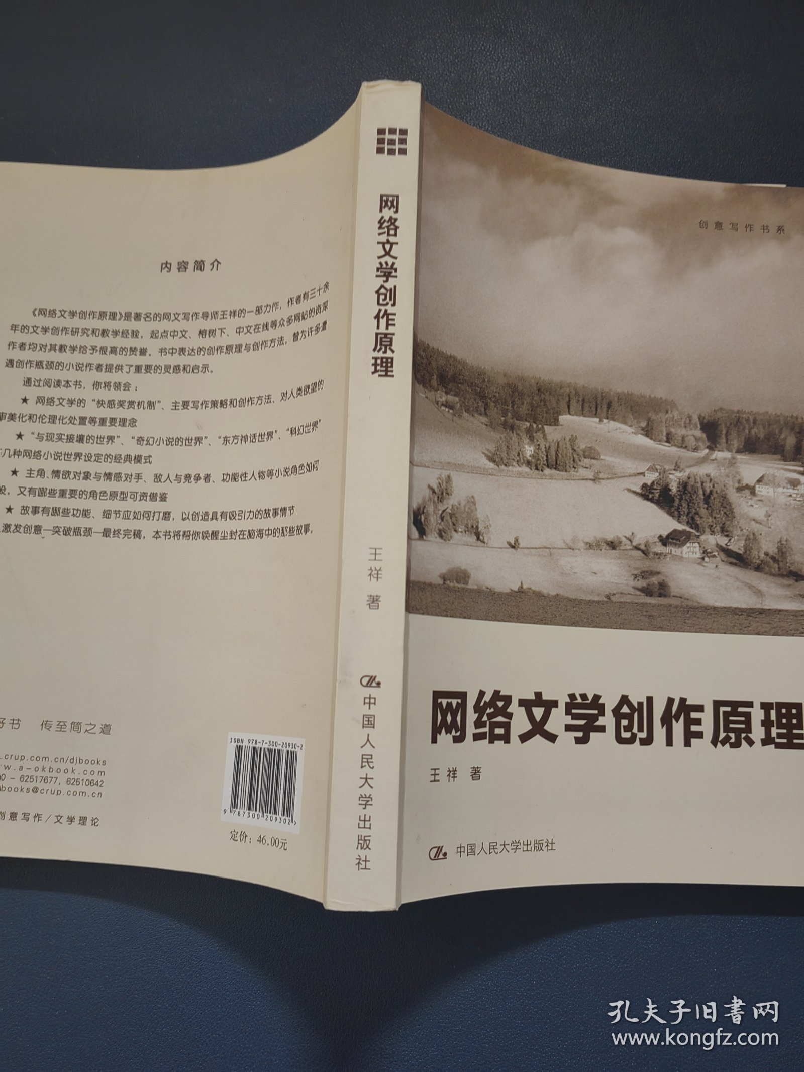 创意写作书系：网络文学创作原理
