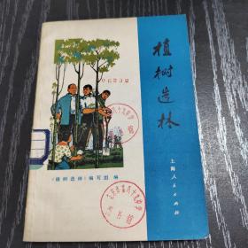 植树造林