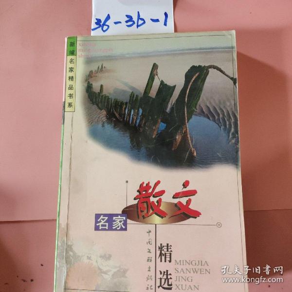 名家精品书系·诗歌