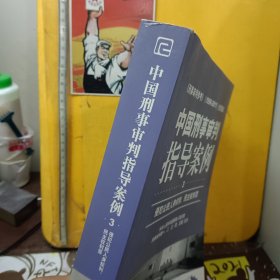 中国刑事审判指导案例（3）：侵犯公民人身权利、民主权利罪（最新增补版）