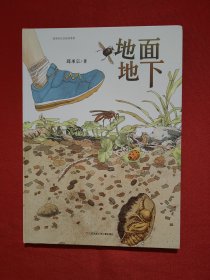 中国原创丰子恺优秀童书奖生态绘本：地面地下（孩子手边靠谱的虫虫图记）