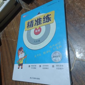 精准练物理九年级