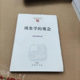 现象学的观念