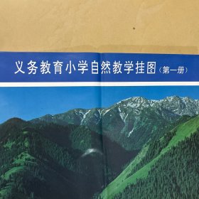 义务教育小学自然教学挂图第一册12张对称保护眼睛牙齿树叶动物天山漓江黄山