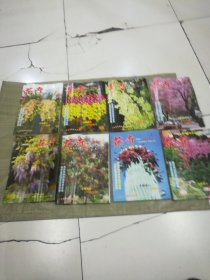 花卉2011年第2-7.9.10期（8册合售.目录见图）