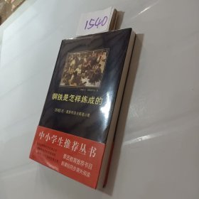 钢铁是怎样炼成的