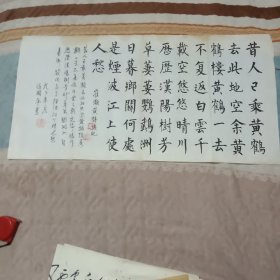任园平书法