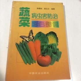 蔬菜病虫害防治彩色图说