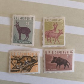 S303阿尔巴尼亚1962年动物 麋鹿 野猪 猞猁 黑熊 新 4全 外国邮票 目录价25欧 背贴，3枚有软痕