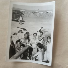 新华社稿黑白照片第3376-2号，1956年【21】