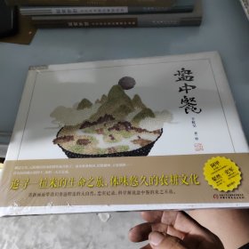 盘中餐