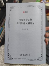 农村消费信贷促进法律机制研究(西政文库)