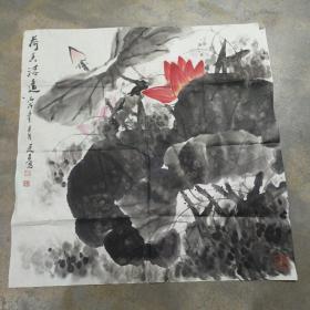 陈廷友荷花