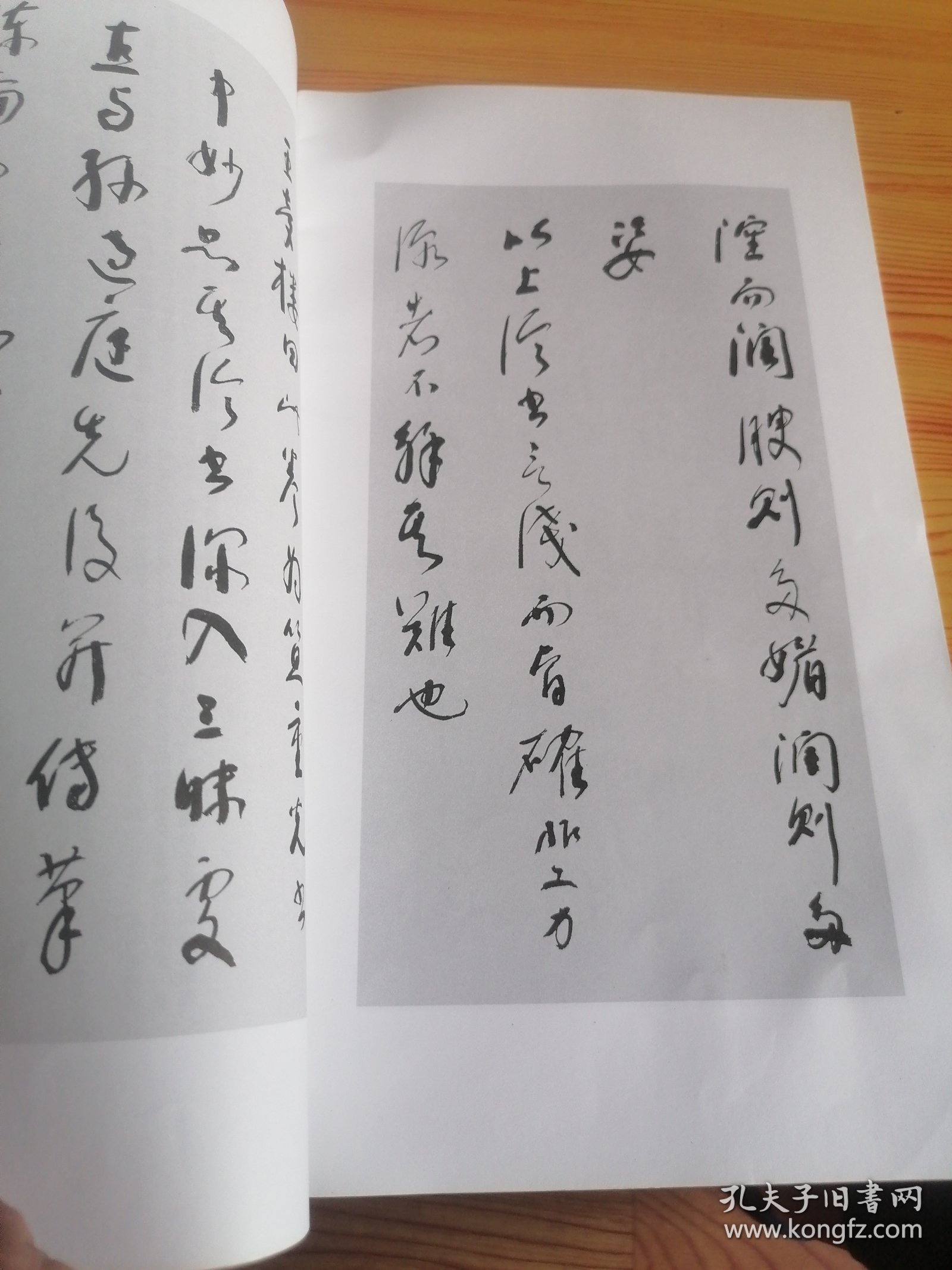 林散之草书书筏册