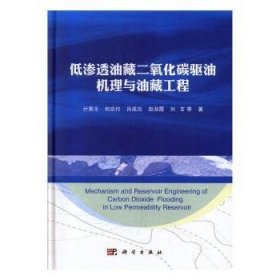 低滲透油藏二氧化碳驅(qū)油機(jī)理與油藏工程計(jì)秉玉,何應(yīng)付,呂成遠(yuǎn)