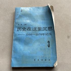 历史在这里沉思1966-1976年记实3