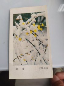 1983年年历片 迎春