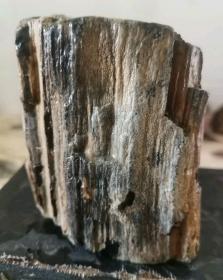 雷击木化石~硅化木，木舍利